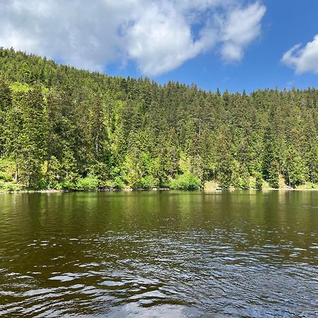 An Wanderwegen Gelegen Mit Terrasse Und Boxspringbett Apartman Sasbachwalden Kültér fotó