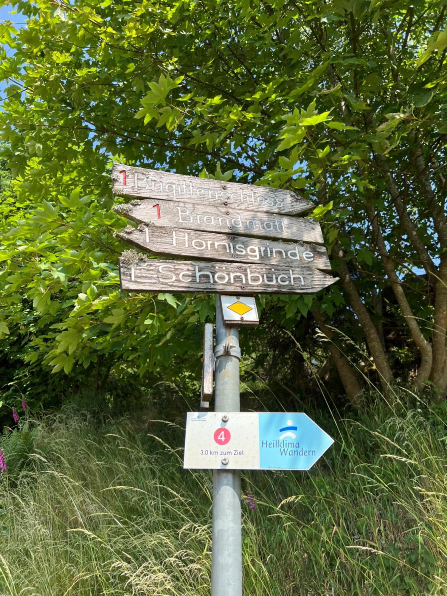 An Wanderwegen Gelegen Mit Terrasse Und Boxspringbett Apartman Sasbachwalden Kültér fotó