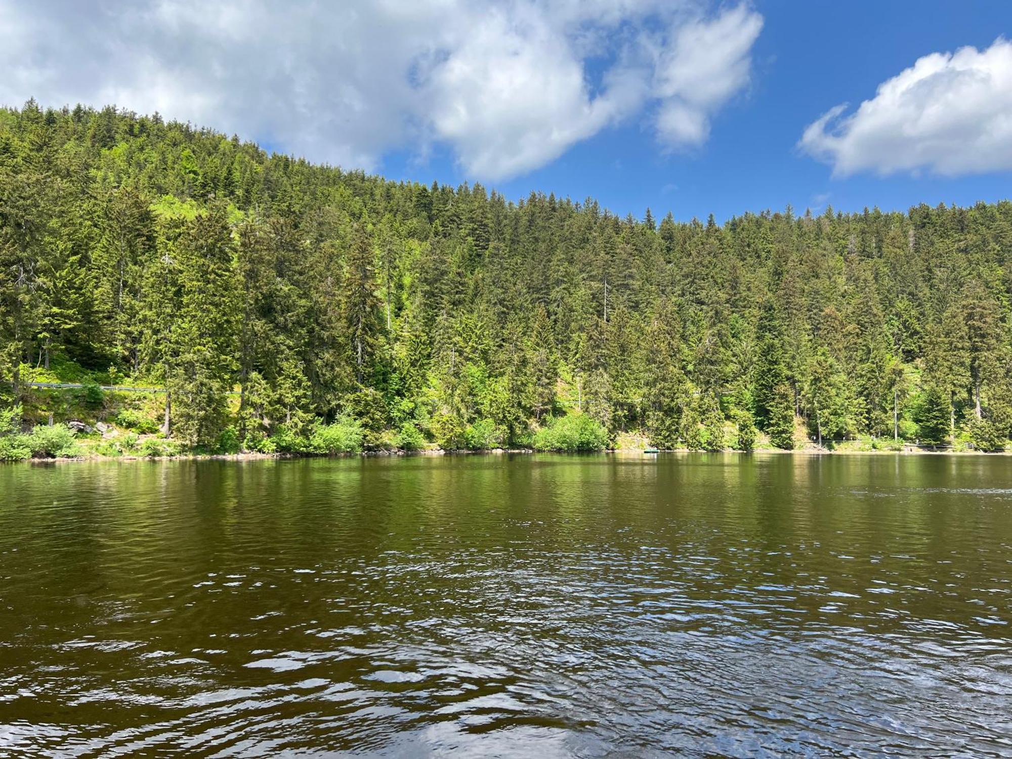 An Wanderwegen Gelegen Mit Terrasse Und Boxspringbett Apartman Sasbachwalden Kültér fotó
